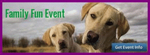 Dog Events Maryland