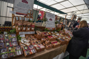 Craft Shows Near ME