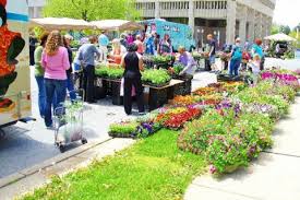 Towson Garden Day 