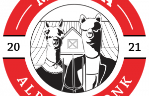 Family Friendly Events